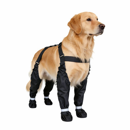 Dog wearing black protective leg wraps on a white background