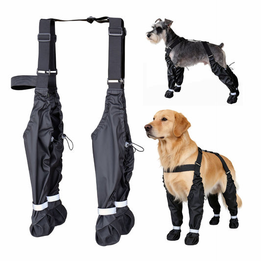 Black dog boots with straps on a white background, featuring two dogs wearing the raincoat.