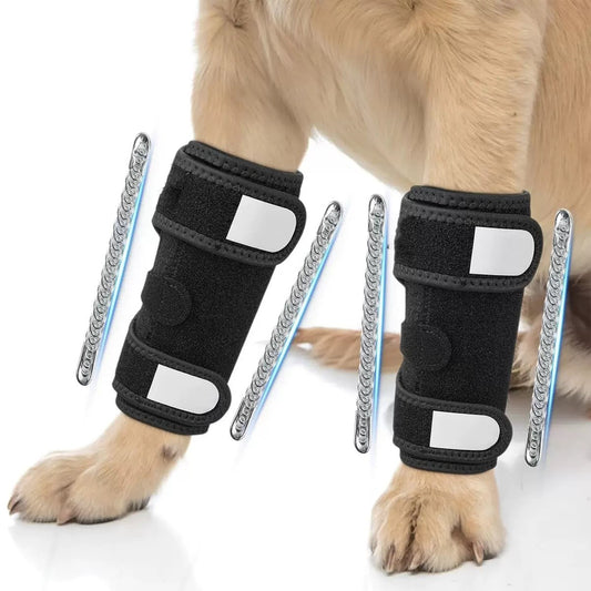 close up a dog's front legs wearing Recovery Brace with Rigid & Spring Inserts