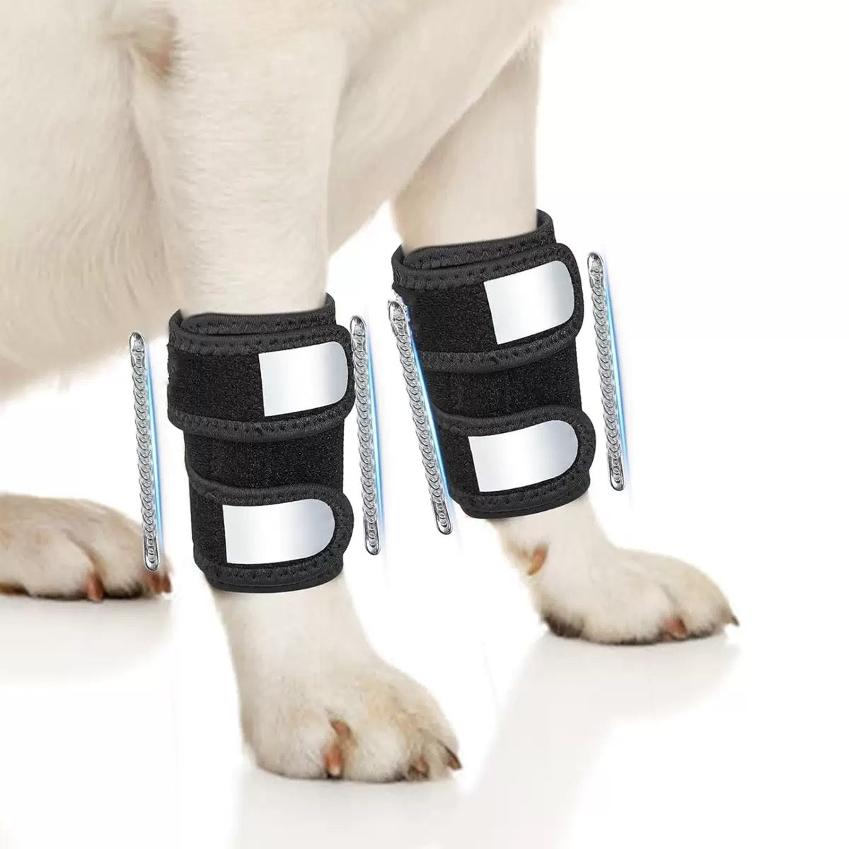 Dog Splint Front Leg Support - Recovery Brace with Rigid & Spring Inserts