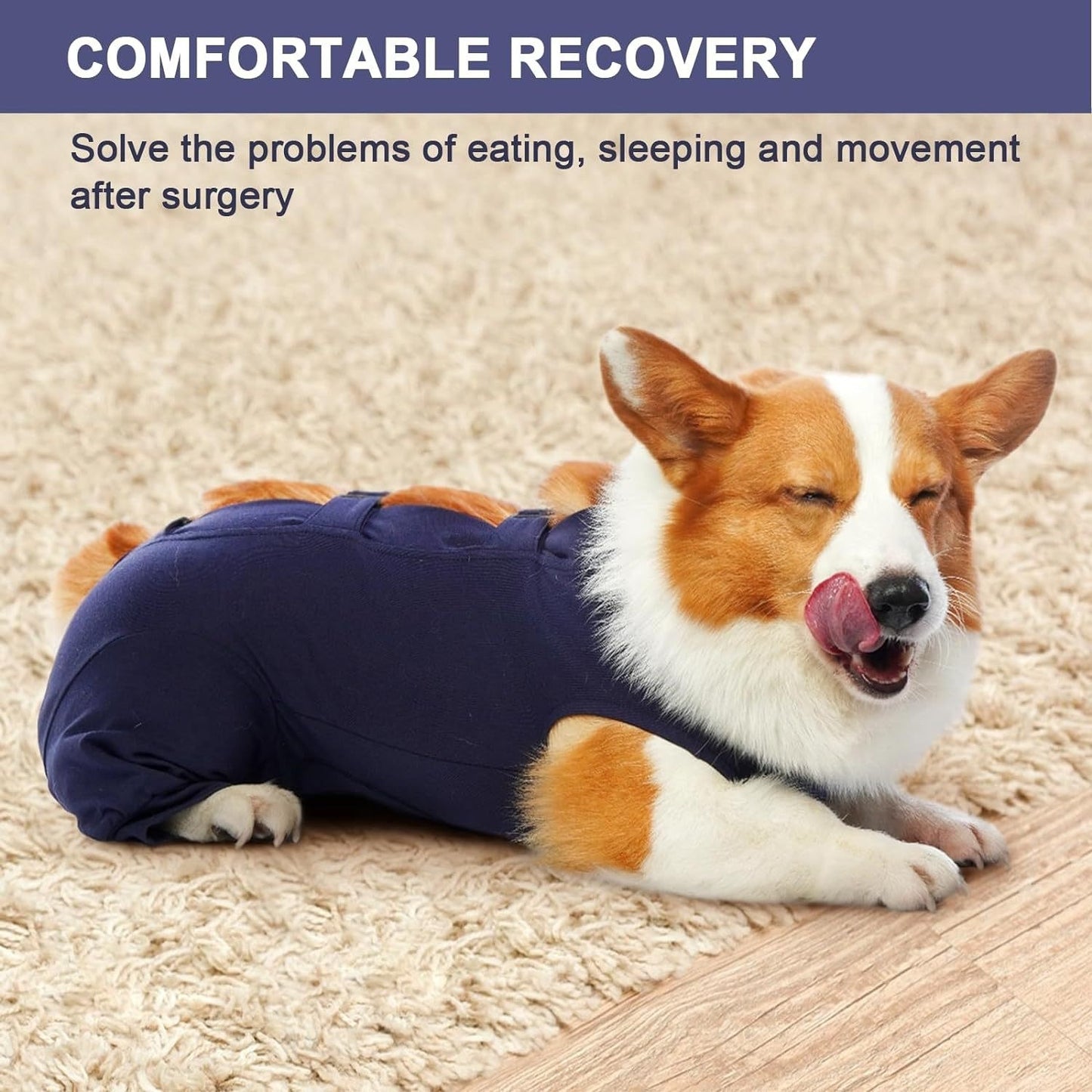 Dog wearing a recovery suit with text about comfortable recovery solutions.