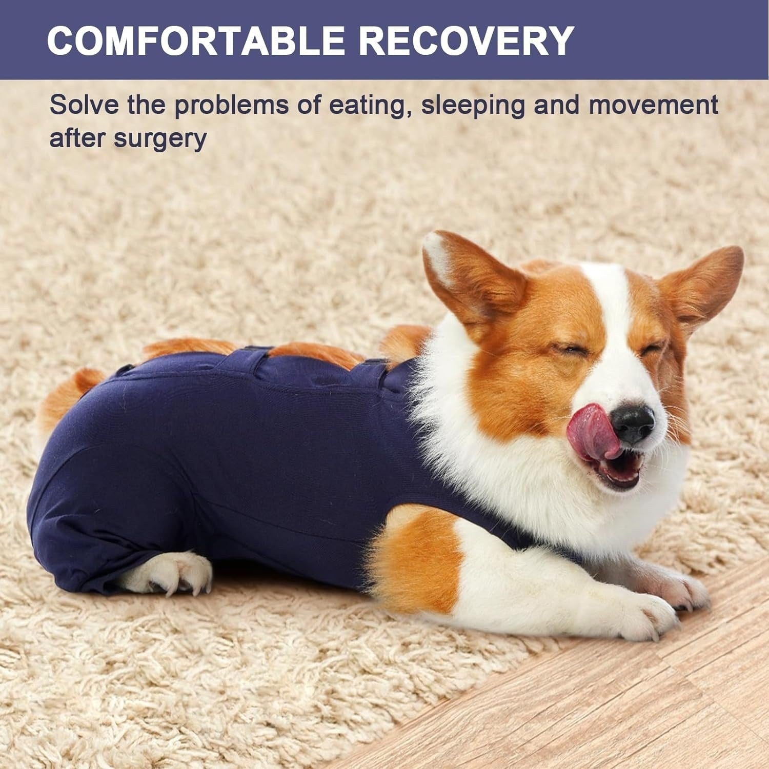 Dog wearing a recovery suit with text about comfortable recovery solutions.