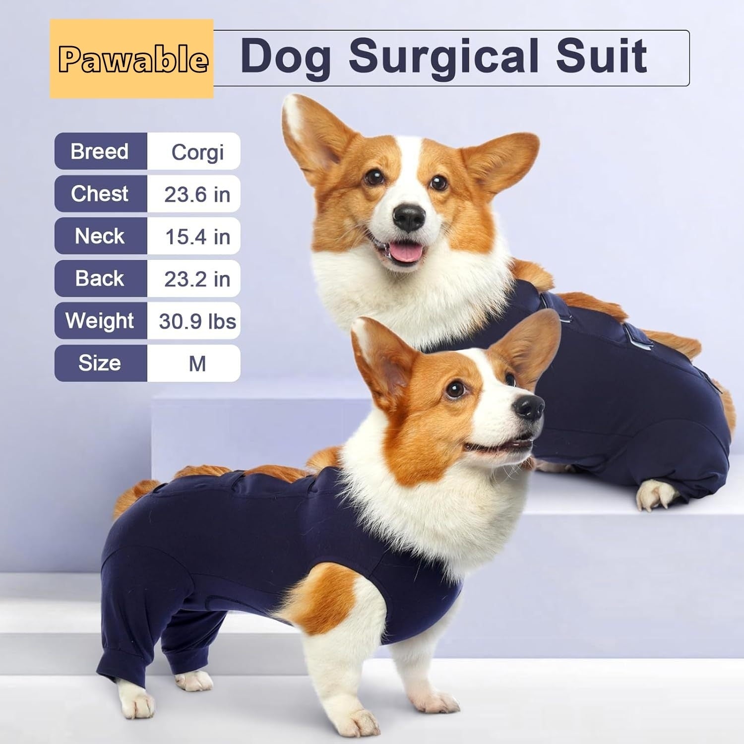 Two dogs wearing a 'Pawable' dog surgical suit with specifications displayed.