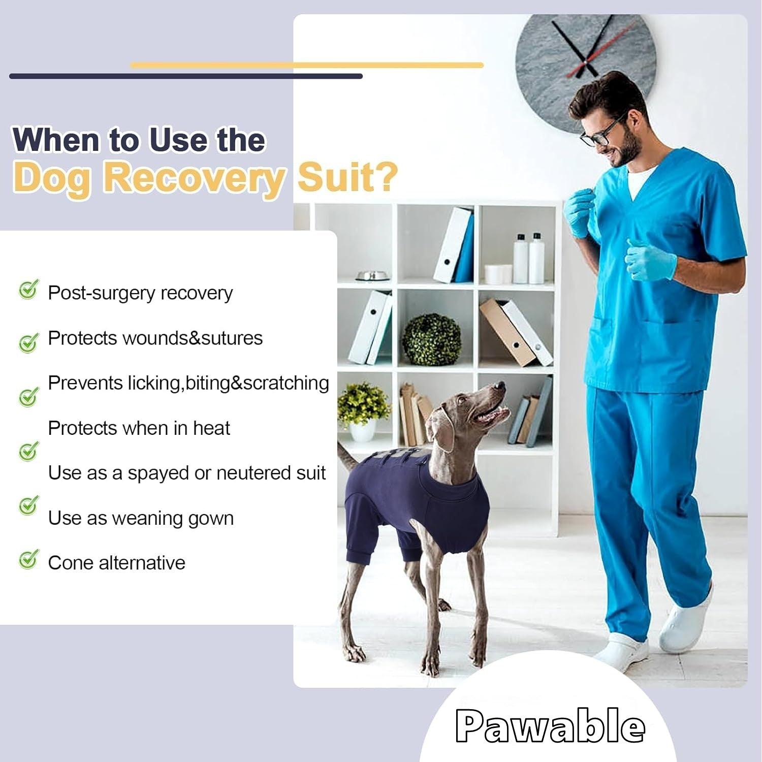 Dog wearing a recovery suit with a person in blue scrubs, text on using the dog recovery suit, and 'Pawable' branding.