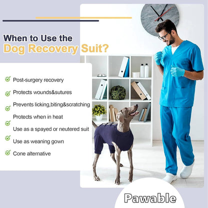 Dog wearing a recovery suit with a person in blue scrubs, text on using the dog recovery suit, and 'Pawable' branding.