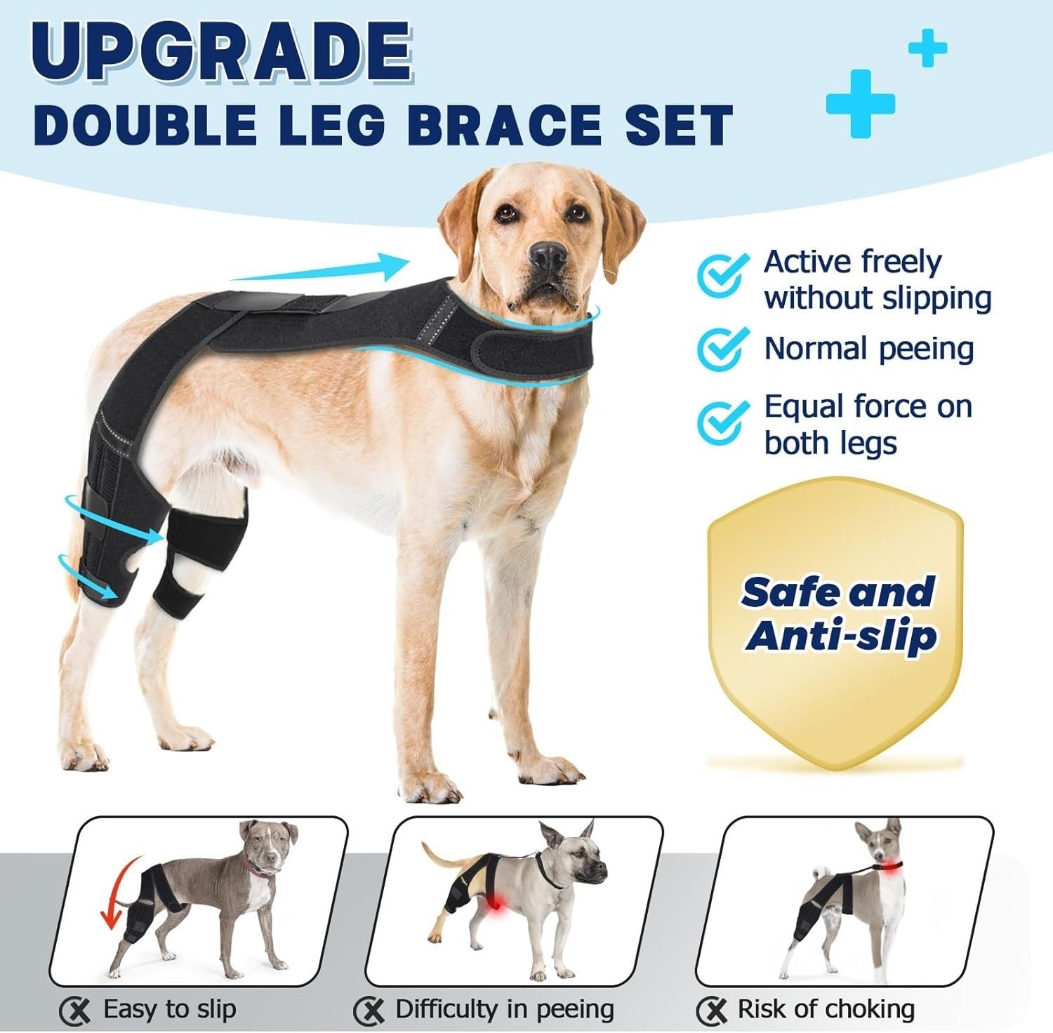 Dog wearing a double leg brace set with text highlighting features on a light blue background