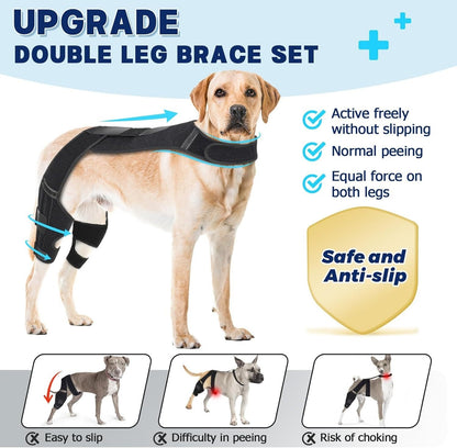 Dog wearing a double leg brace set with text highlighting features on a light blue background