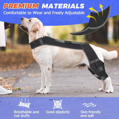 Dog wearing a black brace with text about premium materials and product features.