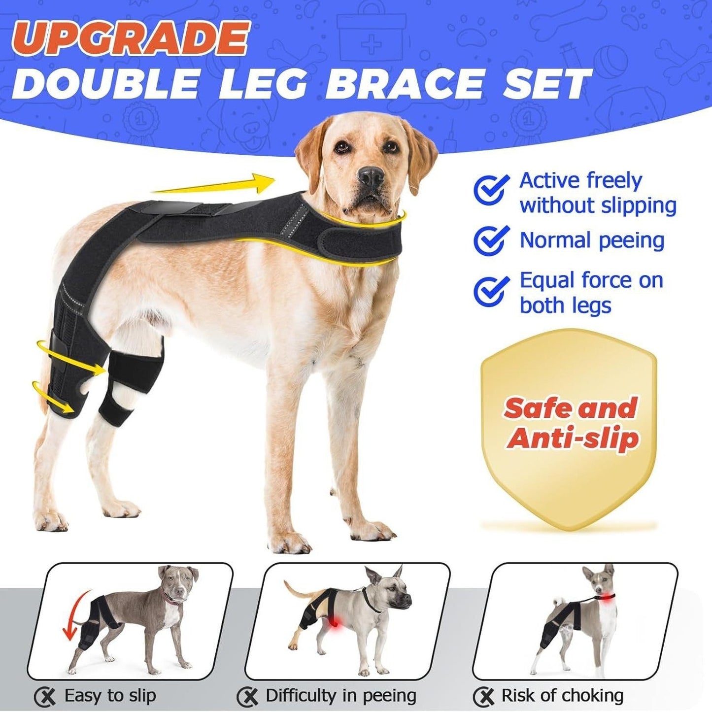 Dog wearing a double leg brace set with features highlighted on a blue and white background.