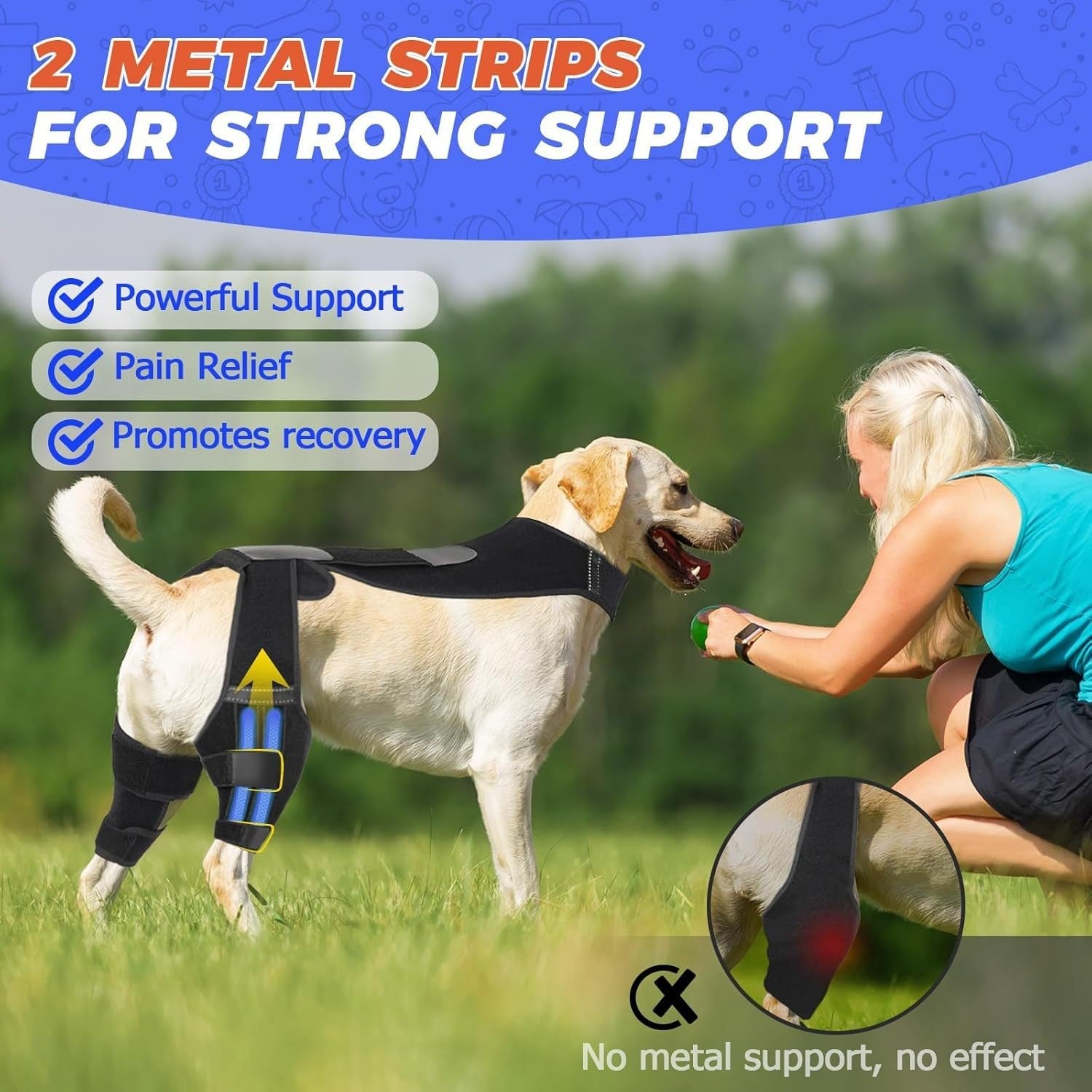 Dog wearing a support brace with a person interacting, set against a natural background.