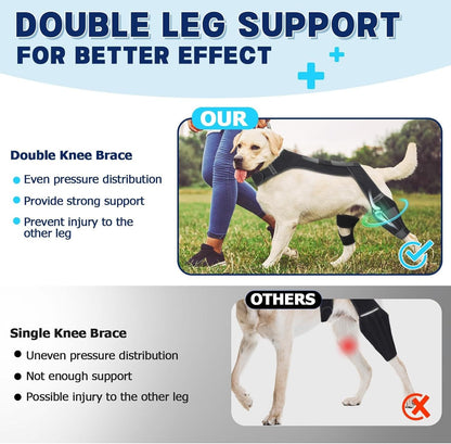 Dog wearing a double leg support brace with text explaining benefits and alternatives.