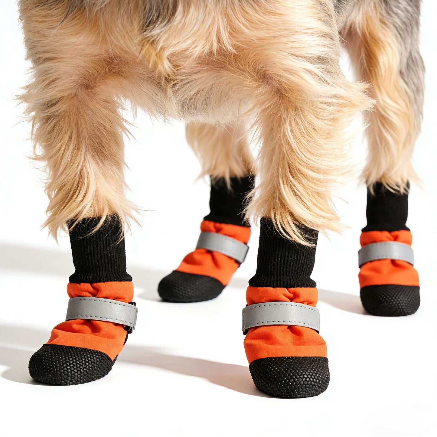 Dog legs wearing orange and black protective boots with reflective straps on a white background