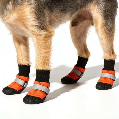 Dog legs wearing orange and black protective boots with gray straps on a white background
