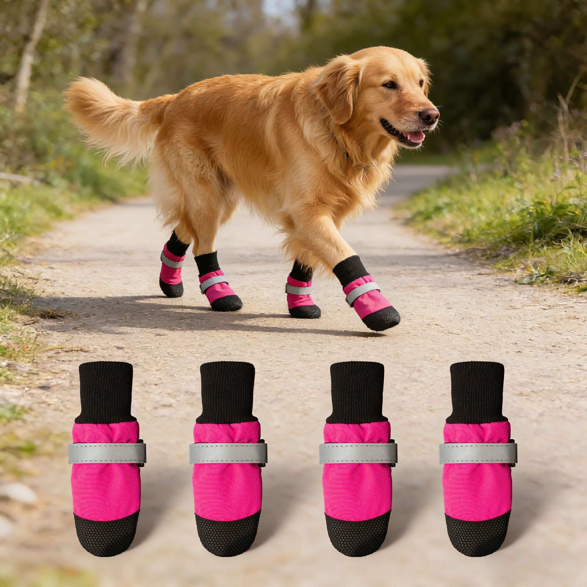 Dog wearing pink and black protective boots on a path with inset images of the boots.