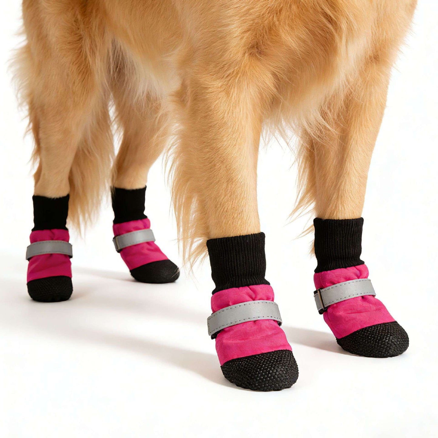 Dog wearing pink and black booties with gray straps on a white background