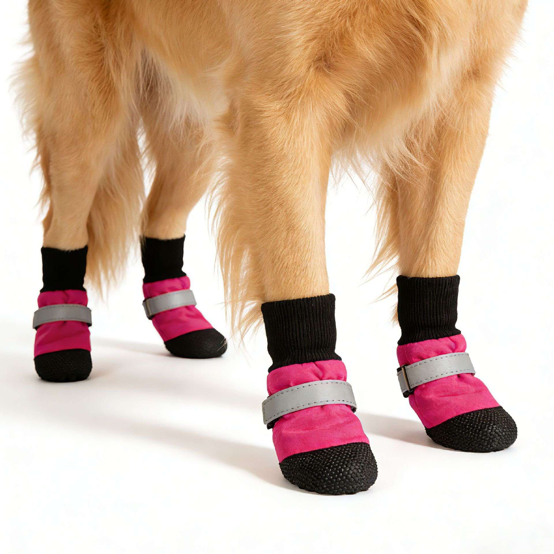 Dog wearing pink and black booties with gray straps on a white background