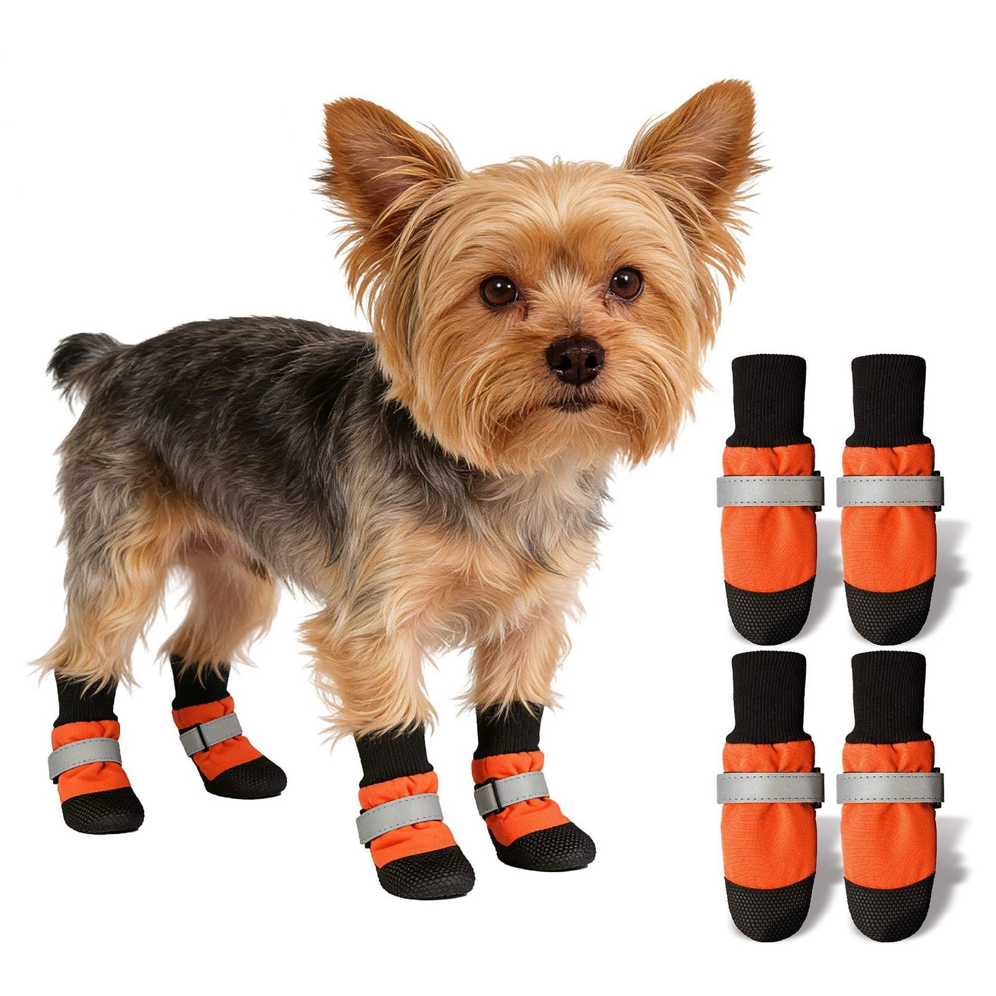 Dog wearing orange and black protective boots with additional pairs displayed.