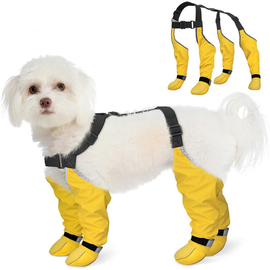 Dog wearing yellow protective Suspender Dog Boots with a close-up of the wraps on a white background.