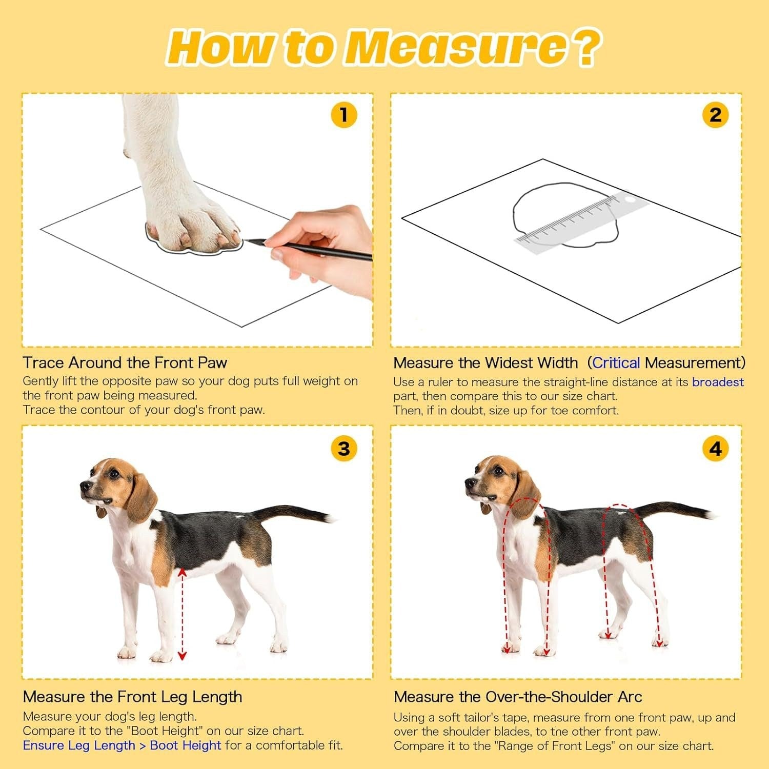 Instructions on how to measure a dog for a product, with text and images of a dog and measurement tools.