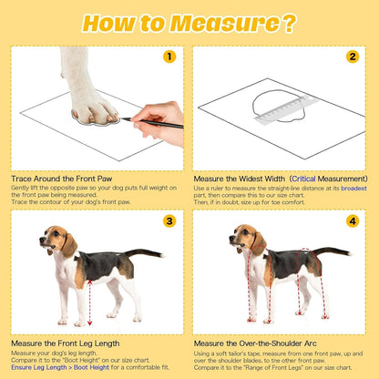 Instructions on how to measure a dog for a product, with text and images of a dog and measurement tools.