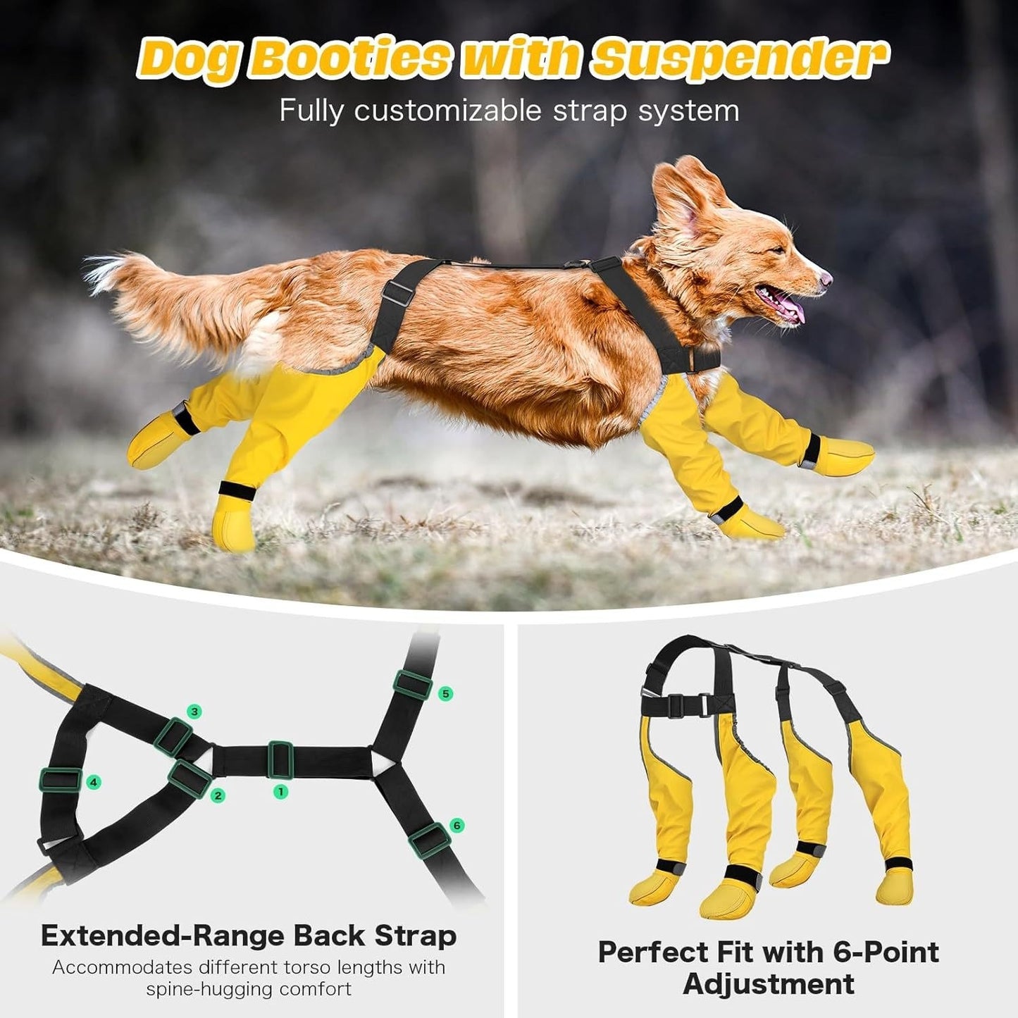 Dog wearing yellow booties with a suspender system on a natural background