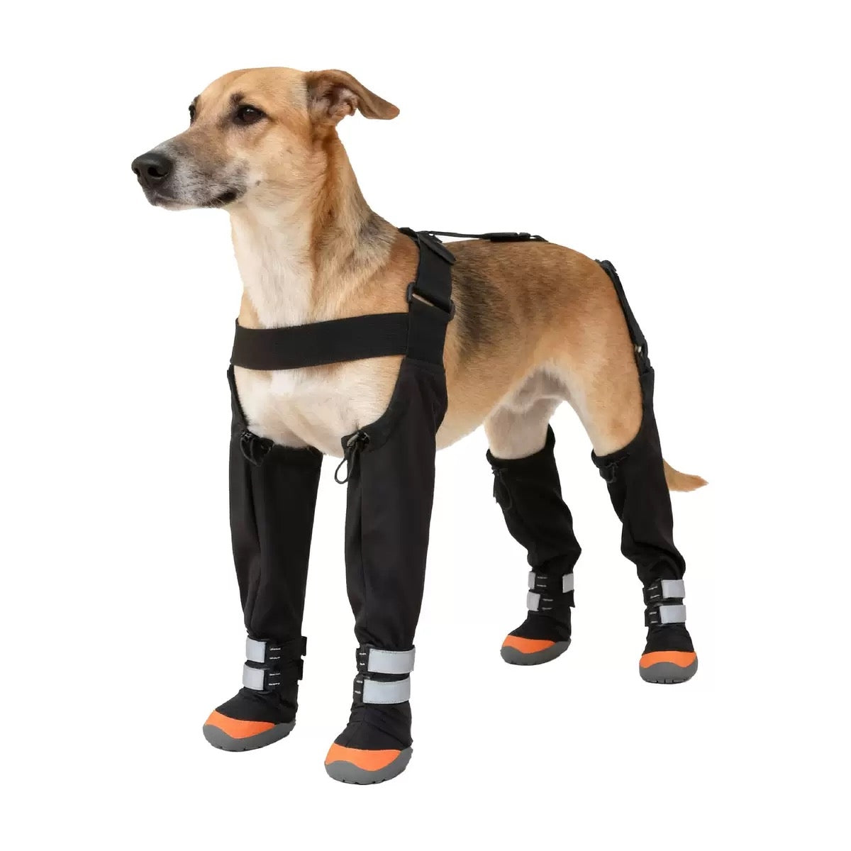 Adjustable Suspender Dog Boots