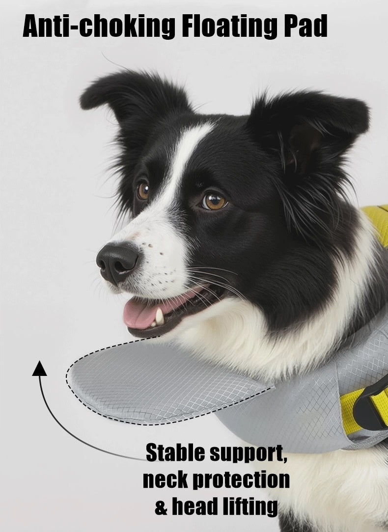 Dog wearing an anti-choking floating pad 