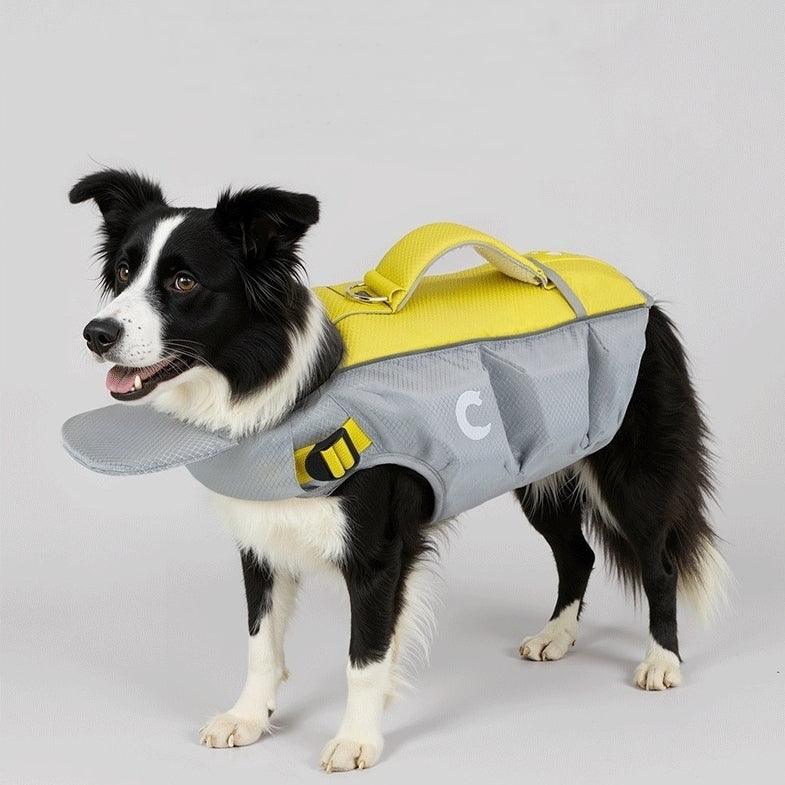 Dog wearing a gray and yellow life jacket on a light gray background