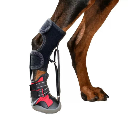 Dog leg with protective boot and brace