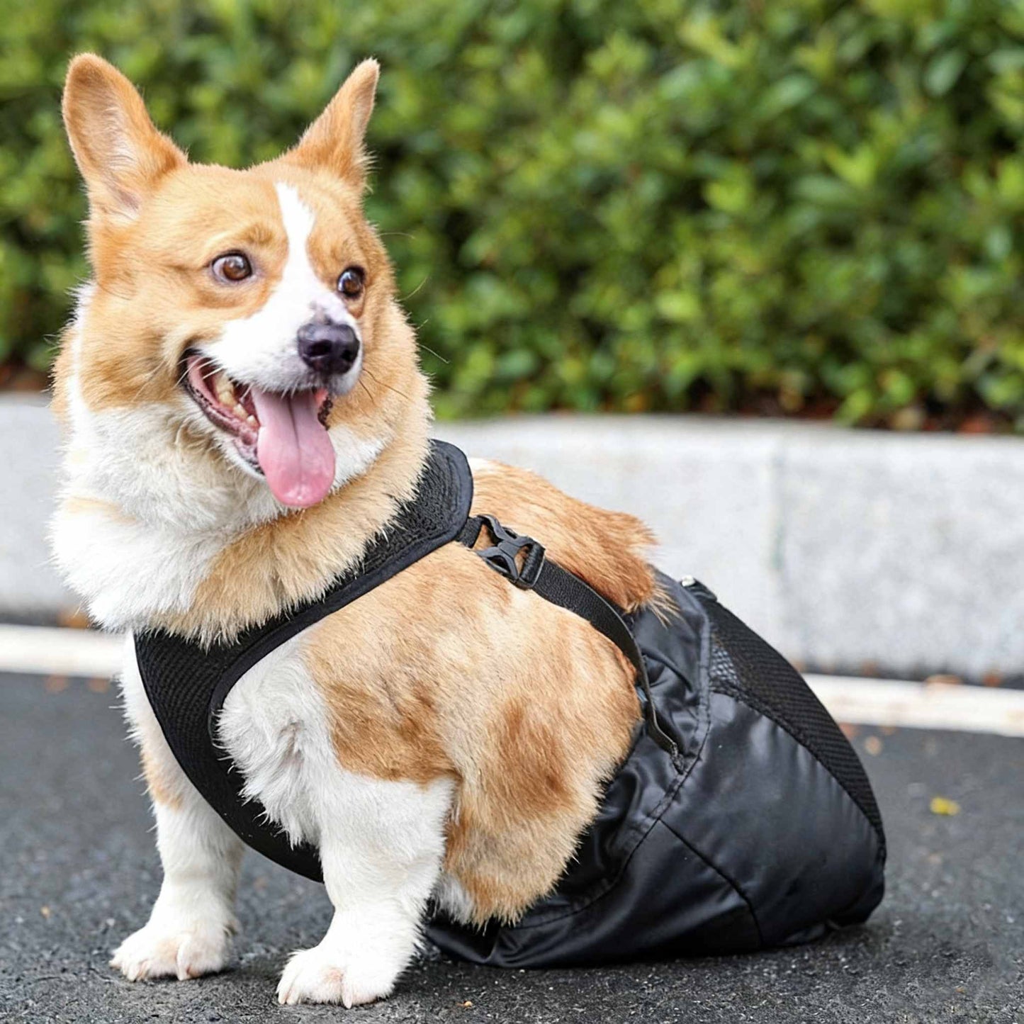 Dog Drag Bag for Disabled Rear Legs