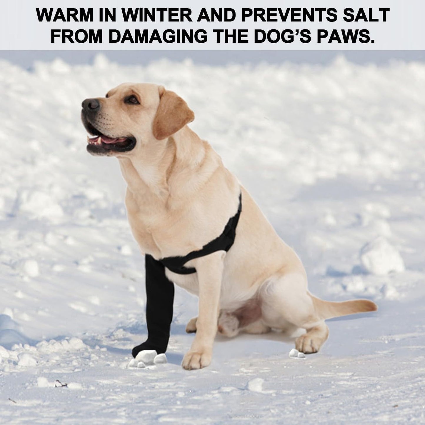 Dog Front Leg Recovery Sleeve: Anti-Lick Support Brace