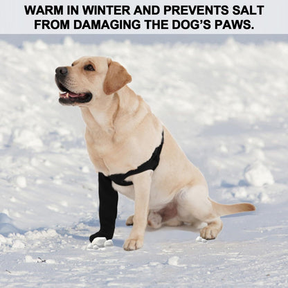 Dog Front Leg Recovery Sleeve: Anti-Lick Support Brace