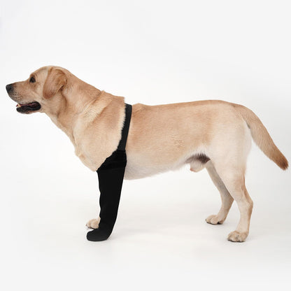Dog Front Leg Recovery Sleeve: Anti-Lick Support Brace