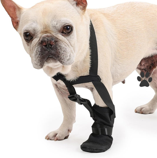 Dog Front Paw Protector: Anti-Lick Wound Guard for Injured Paws