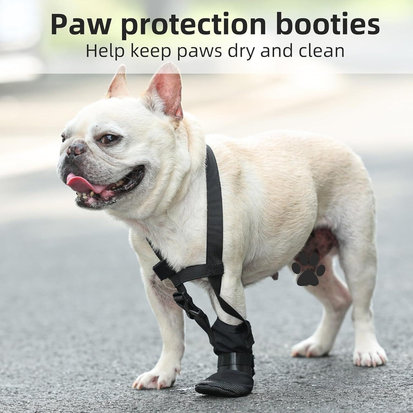 Dog Front Paw Protector: Anti-Lick Wound Guard for Injured Paws