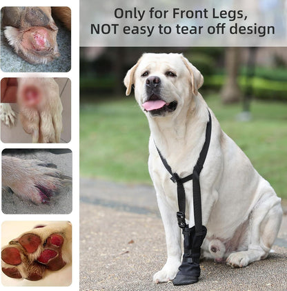 Dog Front Paw Protector: Anti-Lick Wound Guard for Injured Paws