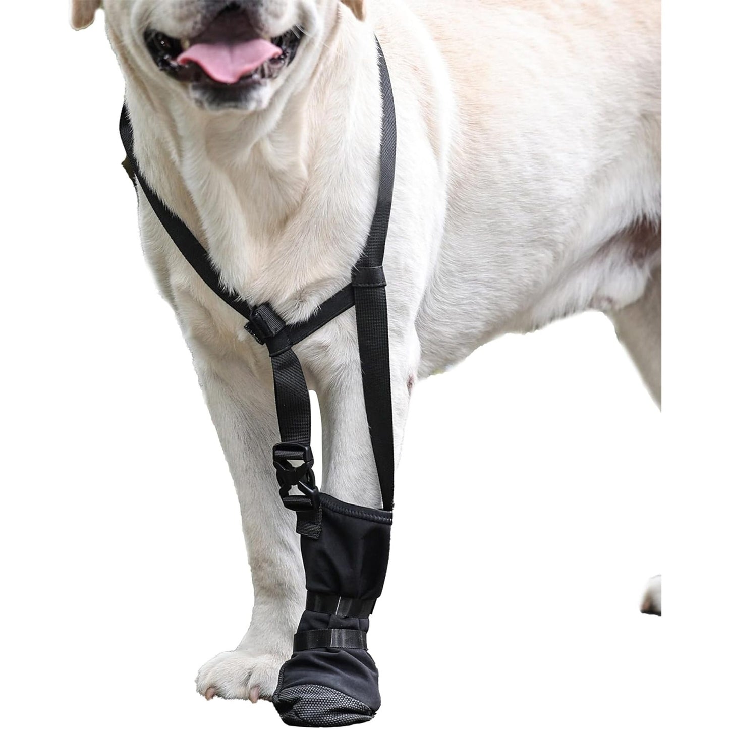 Dog Front Paw Protector: Anti-Lick Wound Guard for Injured Paws
