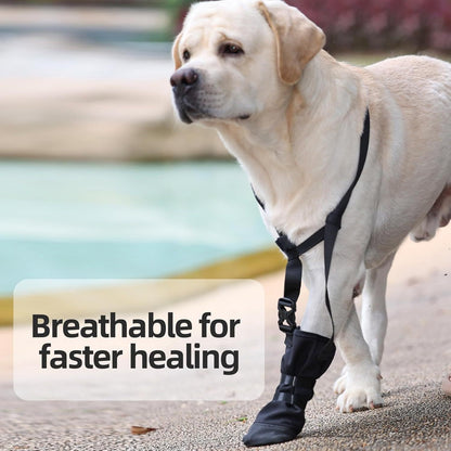 Dog Front Paw Protector: Anti-Lick Wound Guard for Injured Paws