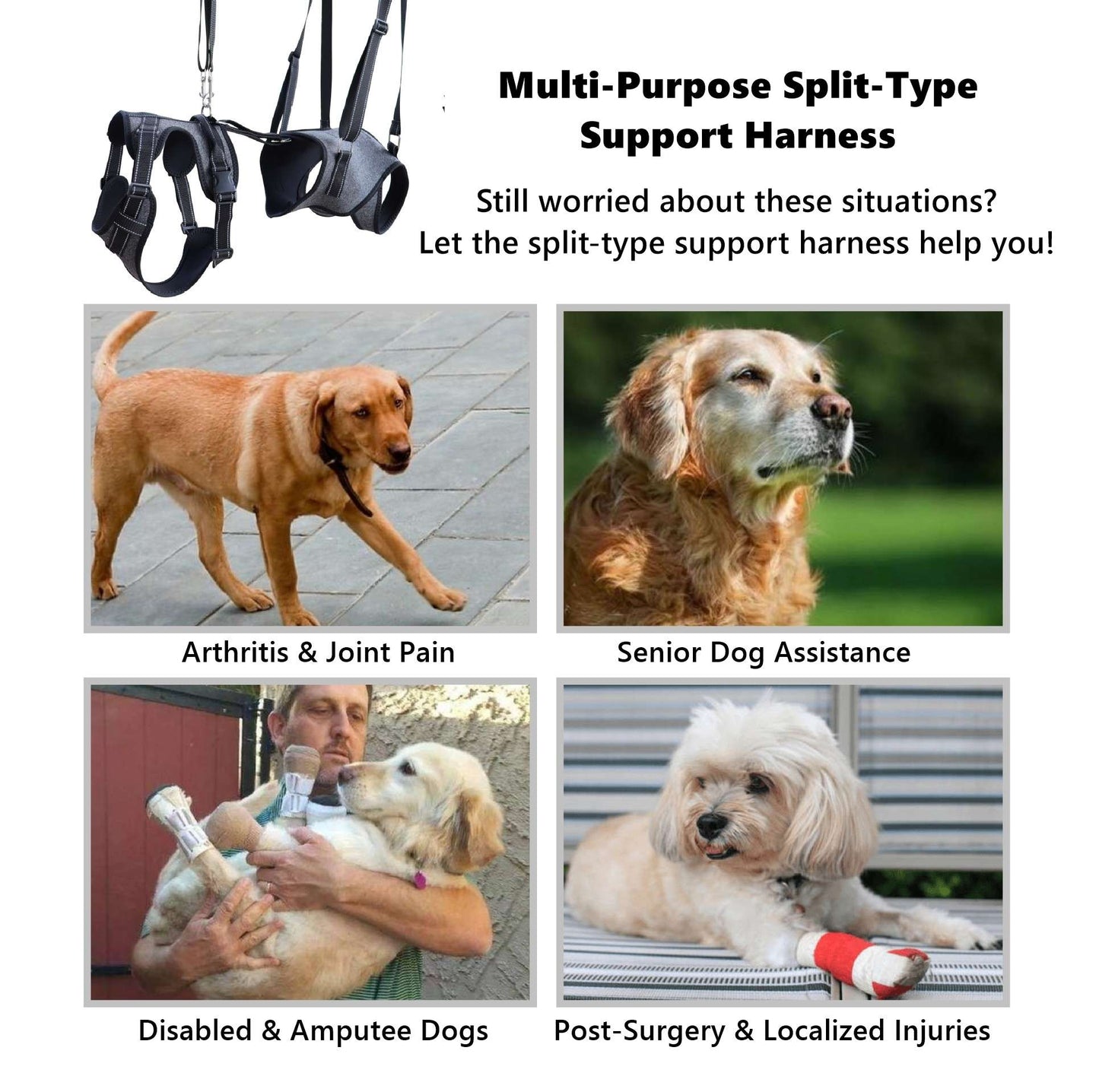 multi-purpose split-type support harness with images of dogs and text highlighting uses.