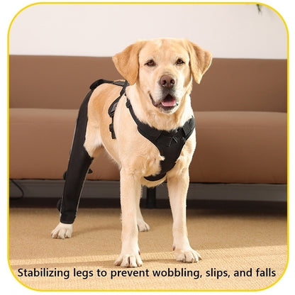 Dog Hind Leg Brace With Metal Support Stays
