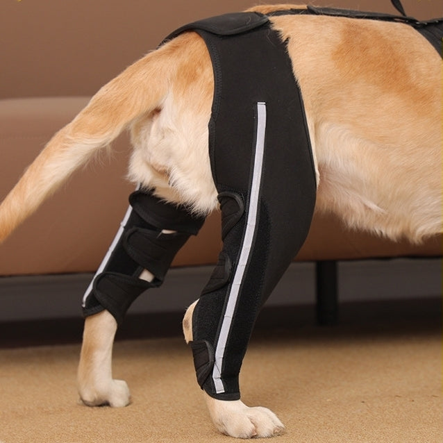 Dog Hind Leg Brace With Metal Support Stays