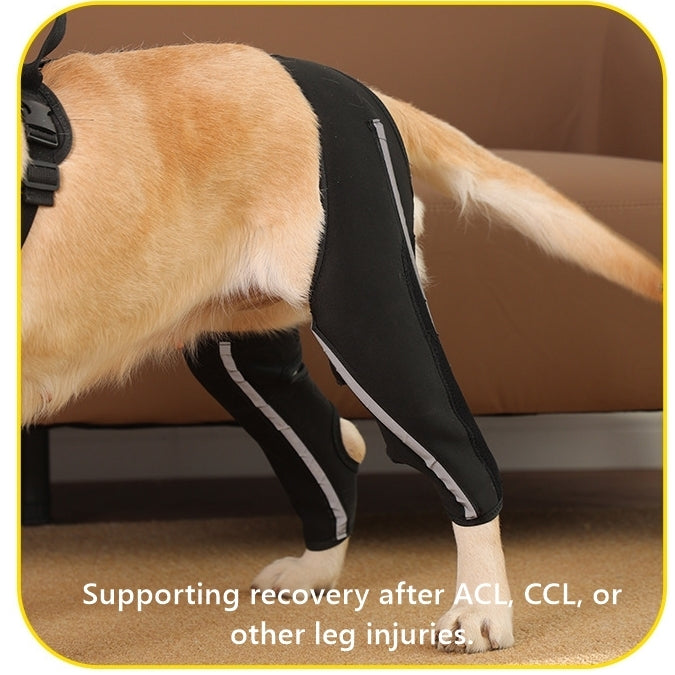 Dog Hind Leg Brace With Metal Support Stays