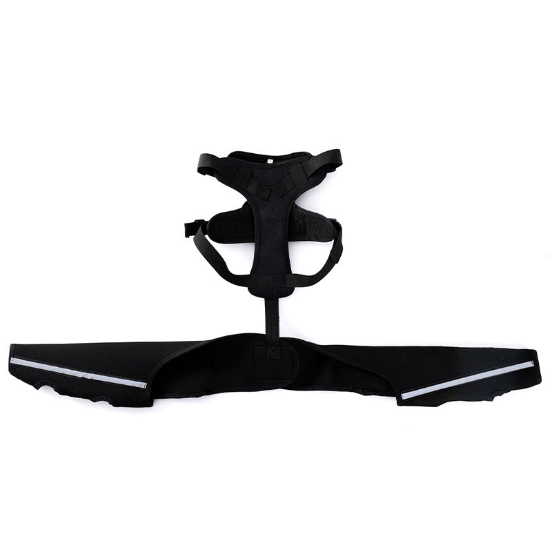 Dog Hind Leg Brace With Metal Support Stays