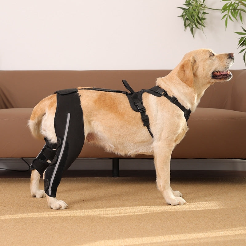 Dog Hind Leg Brace With Metal Support Stays