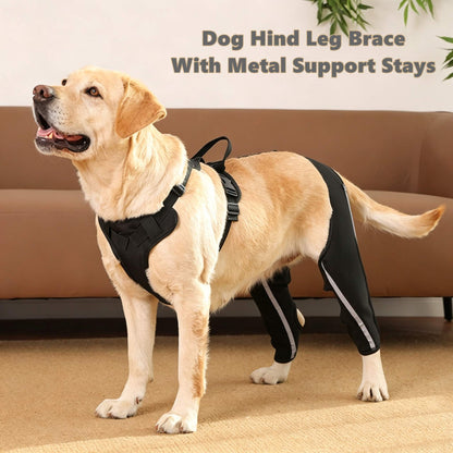 Dog Hind Leg Brace With Metal Support Stays