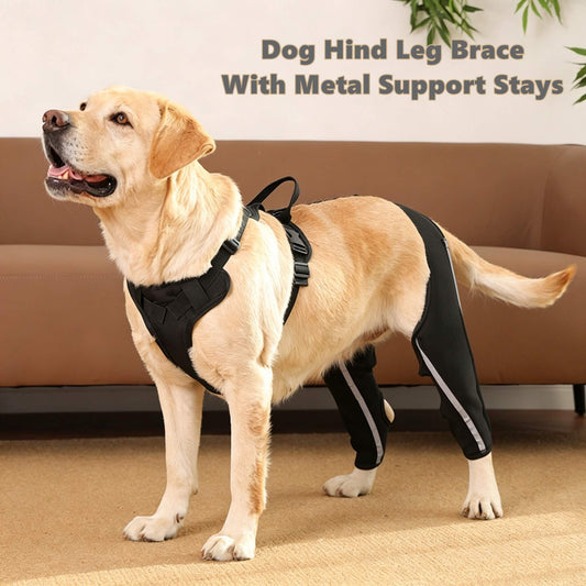 Dog Hind Leg Brace With Metal Support Stays