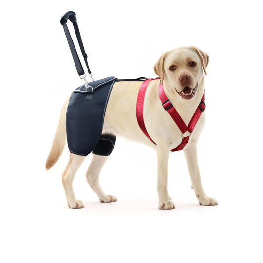 Dog Hip Dysplasia Brace Harness Pro