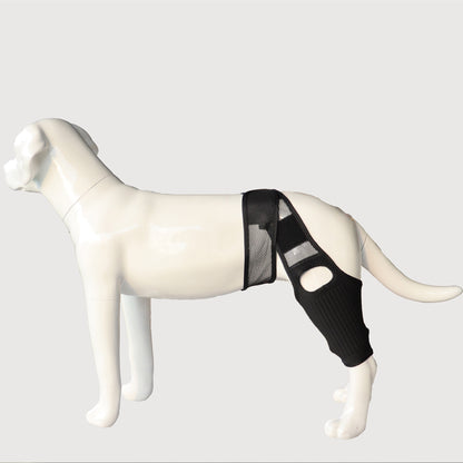Dog Knee Brace - ACL/CCL Cruciate Ligament Support & Joint Recovery