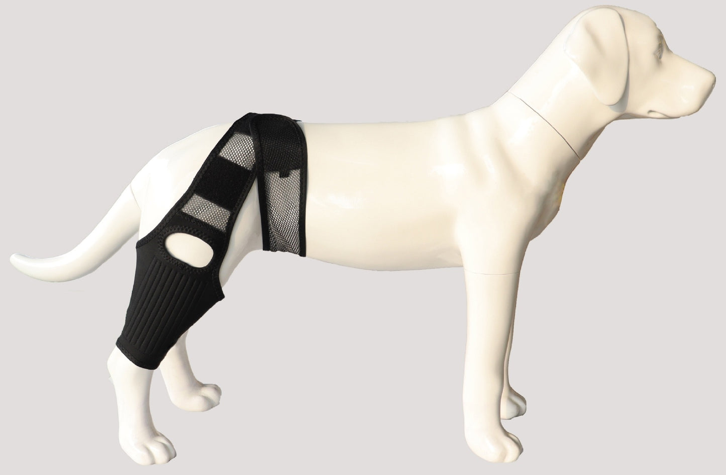 Dog Knee Brace - ACL/CCL Cruciate Ligament Support & Joint Recovery