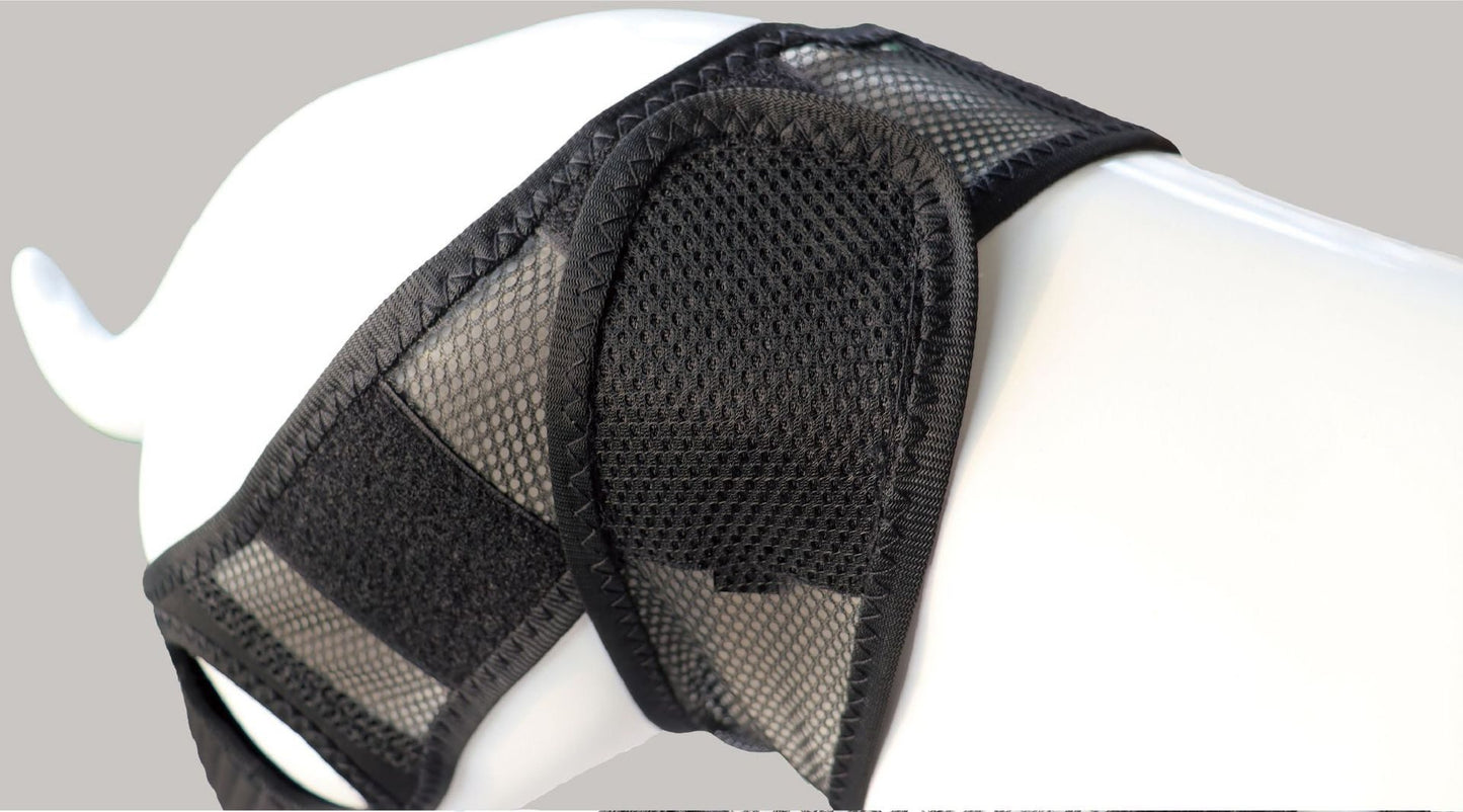Dog Knee Brace - ACL/CCL Cruciate Ligament Support & Joint Recovery